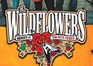 Events https://stayblueridge.icnd-cdn.com/images/events/Wildflowers2.png