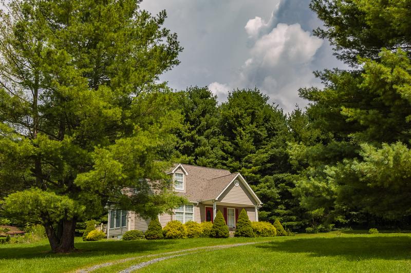 Long Term Rentals https://stayblueridge.icnd-cdn.com/images/longtermrentals/B3E06C7F-FF6C-2D1F-476E621C60E3F921HT-101.jpg