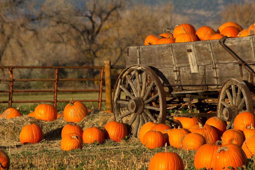 Visiting the Mountains in the Fall